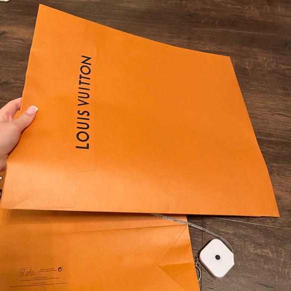 Louis Vuitton Shopping Bag + Shirt Envelope - Picture 4 of 4